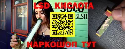 стаф Рязань