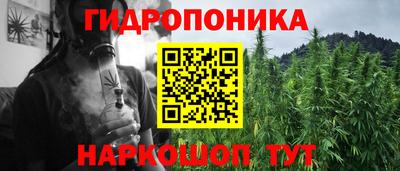 молекула духа Рузаевка