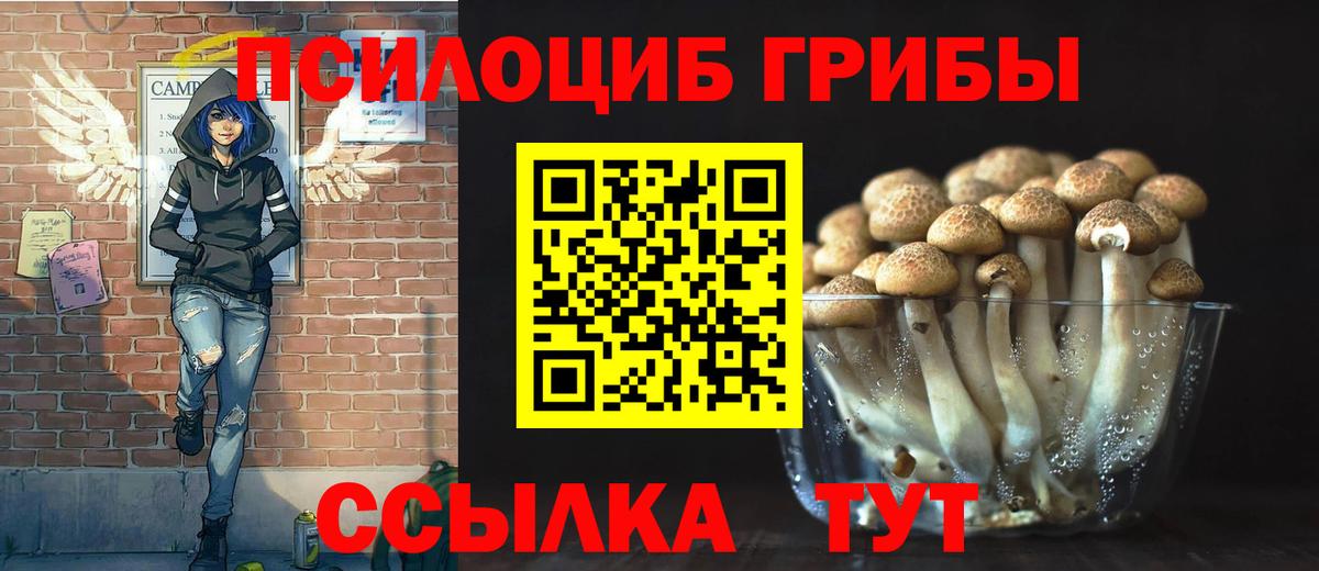 Галлюциногенные грибы Cubensis Реж