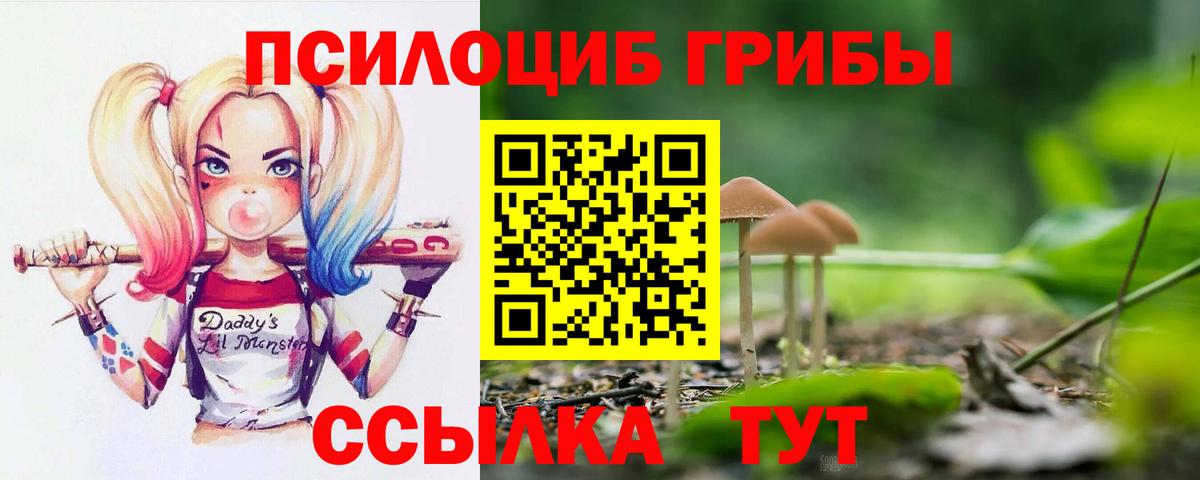 как найти закладки  Галлюциногенные грибы MAGIC MUSHROOMS  Вход с VPN  Реж 