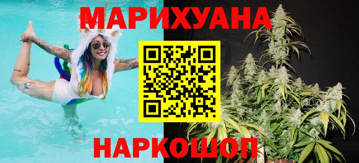 Марихуана сатива  МАРИХУАНА конопля  Каннабис Bruce Banner  Вход с VPN  Реж 
